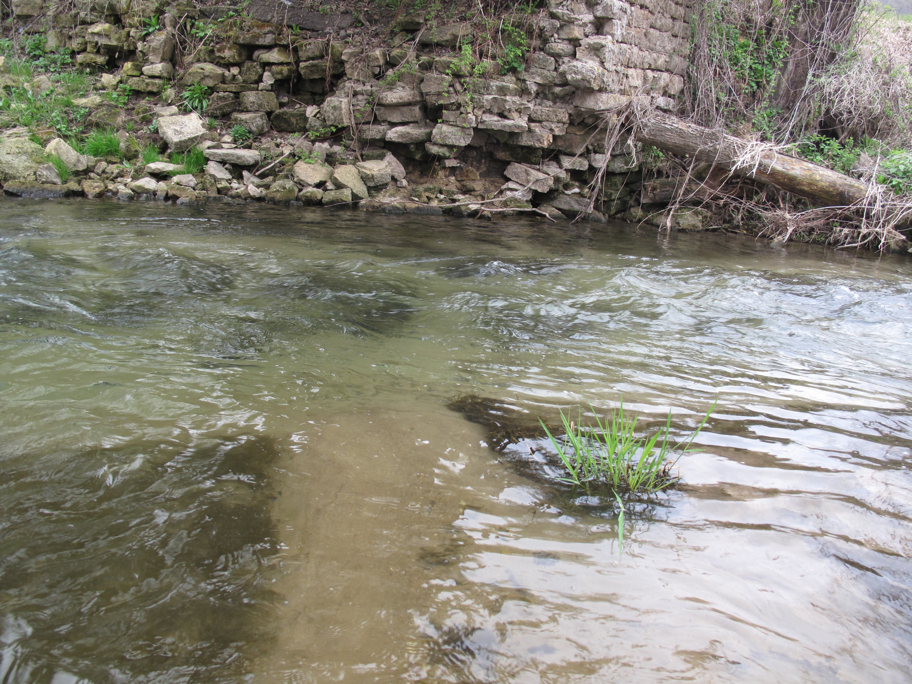 south branch