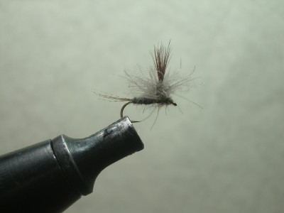 cdc parachute tied with a cdc dubbing loop hackle