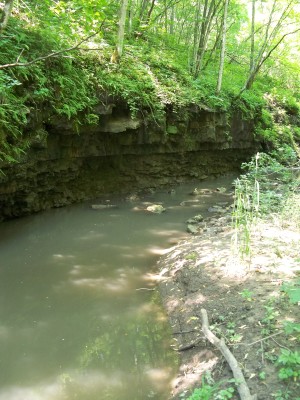 Cliff pool on a feeder creek