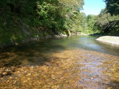 South Branch Root River fly fishing