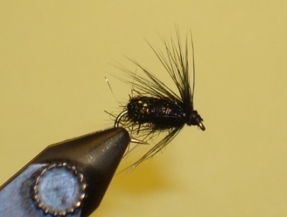 Black Wet Fly - Fly and pic by Dave Anderson, On the Fly Guide Service