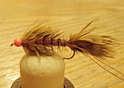 Hot Head Wooly Bugger - Fly and pic by Driftless on the Fly