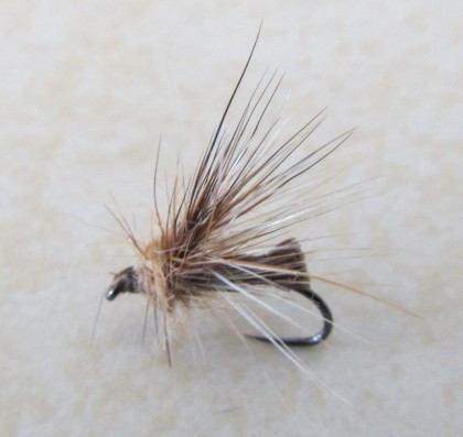 Coulee Crusader Caddis - fly and pic by Spirit Streams Fly Fishing