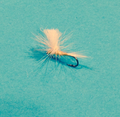 Granny Smith PMD - Fly and pic by Ben Carlson, Jolly Fly Fishing