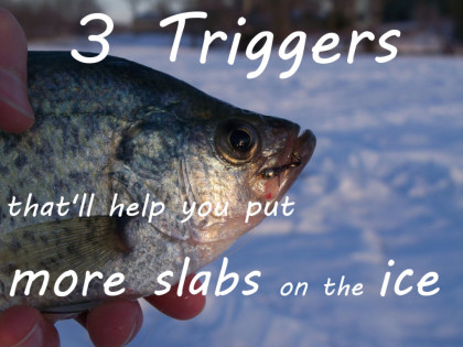 http://blog.fishinggear.com/blog/2014/03/31/selecting-lures-for-panfish-and-trout-under-the-ice-3-triggers-thatll-help-you-put-more-slabs-on-the-ice/