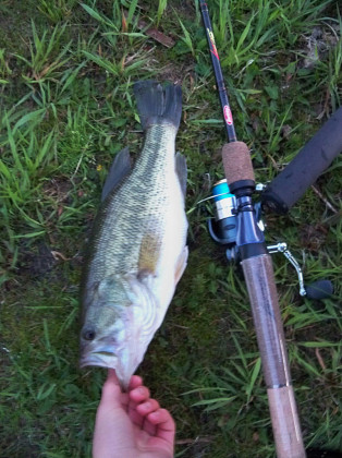 The obligatory picture of the first largemouth of the season.