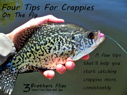 Fly fishing tips for crappies