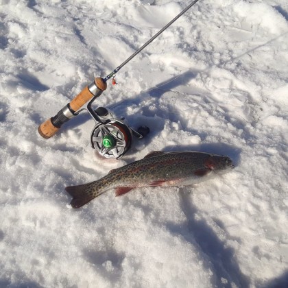 trout ice jig