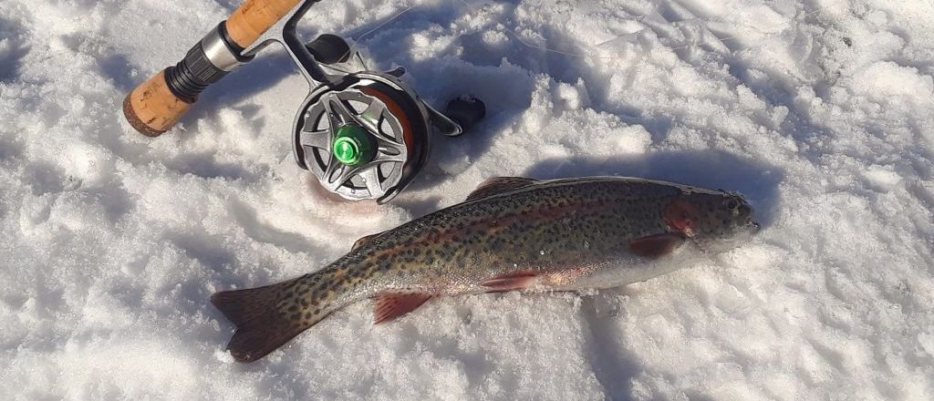trout ice jig