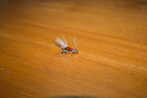 blood worm ice fly