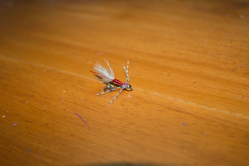 blood worm ice fly
