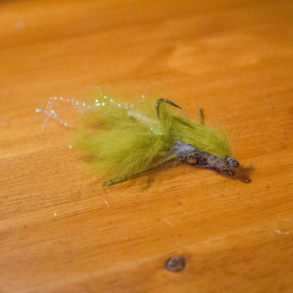 6 Bass Streamers to Help You Catch More Big Bass – 3 Brothers Flies