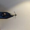 Tunsgten Icy Caddis - Image 2